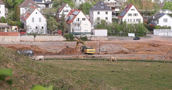 Auf dem Gelände der alten Ziegelei in Besigheim sind Bagger im Einsatz. Die Verfasser des offenen Briefs befürchten, dass diese Erdarbeiten über den genehmigten Rahmen hinausgehen.